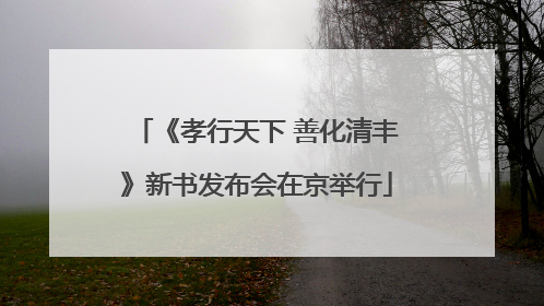 《孝行天下 善化清丰》新书发布会在京举行