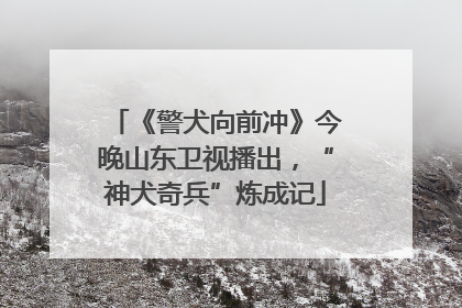 《警犬向前冲》今晚山东卫视播出，“神犬奇兵”炼成记
