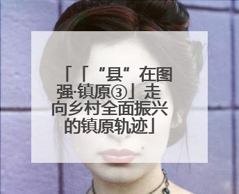 「“县”在图强·镇原③」走向乡村全面振兴的镇原轨迹