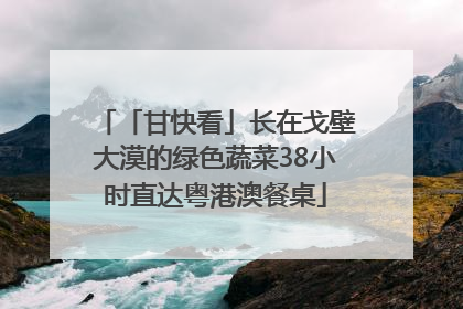 「甘快看」长在戈壁大漠的绿色蔬菜38小时直达粤港澳餐桌