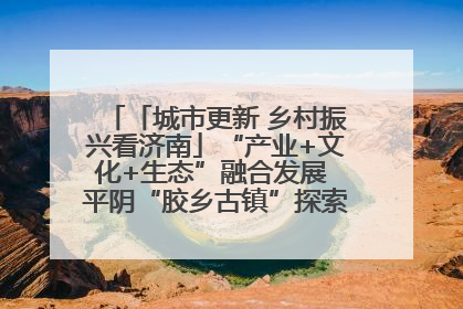 「城市更新 乡村振兴看济南」“产业+文化+生态”融合发展 平阴“胶乡古镇”探索振兴路径成效显著
