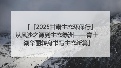 「2025甘肃生态环保行」从风沙之源到生态绿洲——青土湖华丽转身书写生态新篇