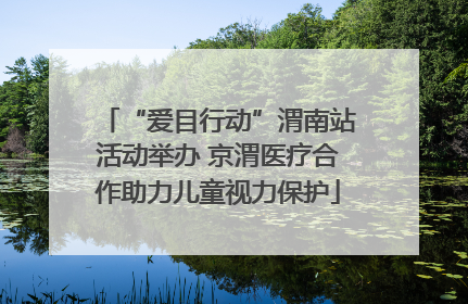 “爱目行动”渭南站活动举办 京渭医疗合作助力儿童视力保护