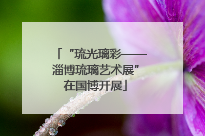 “琉光璃彩——淄博琉璃艺术展”在国博开展