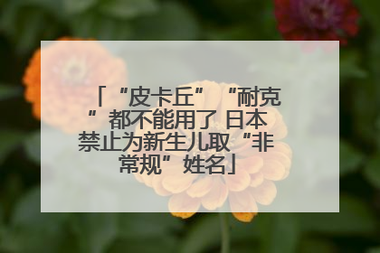“皮卡丘”“耐克”都不能用了 日本禁止为新生儿取“非常规”姓名