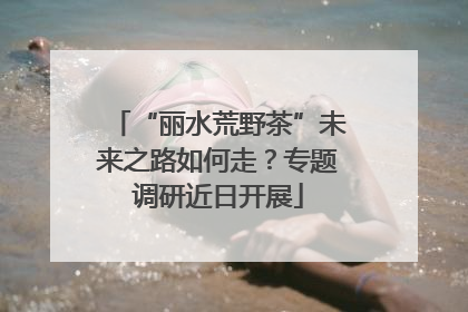 “丽水荒野茶”未来之路如何走？专题调研近日开展