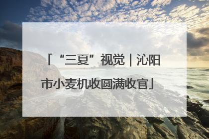 “三夏”视觉｜沁阳市小麦机收圆满收官