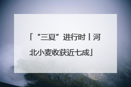 “三夏”进行时丨河北小麦收获近七成