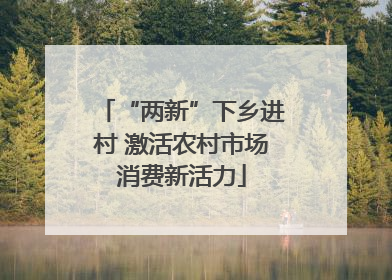 “两新”下乡进村 激活农村市场消费新活力