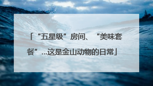“五星级”房间、“美味套餐”…这是金山动物的日常