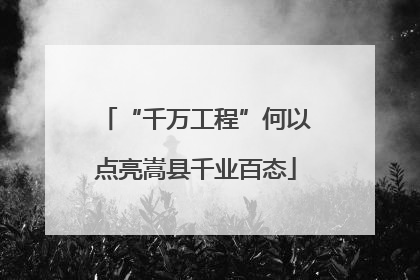 “千万工程”何以点亮嵩县千业百态
