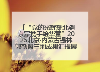 “党的光辉耀北疆 京蒙携手绘华章”2025北京·内蒙古锡林郭勒盟三地成果汇报展系列活动启动