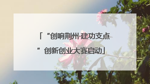 “创响荆州·建功支点”创新创业大赛启动