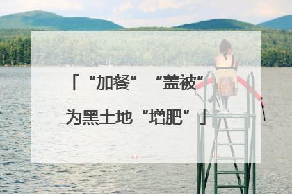 “加餐”“盖被” 为黑土地“增肥”