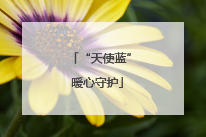 “天使蓝” 暖心守护