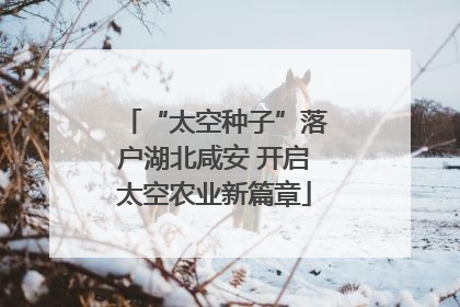 “太空种子”落户湖北咸安 开启太空农业新篇章