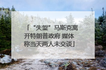 “失望”马斯克离开特朗普政府 媒体称当天两人未交谈