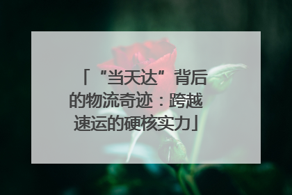 “当天达”背后的物流奇迹：跨越速运的硬核实力