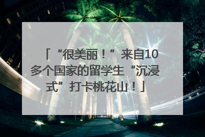 “很美丽！”来自10多个国家的留学生“沉浸式”打卡桃花山！