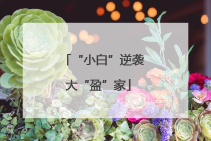 “小白”逆袭大“盈”家