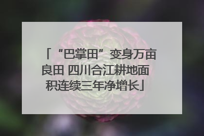 “巴掌田”变身万亩良田 四川合江耕地面积连续三年净增长