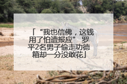 “我也信佛，这钱用了怕遭报应” 罗平2名男子偷走功德箱却一分没敢花