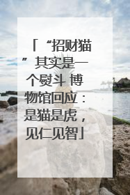 “招财猫”其实是一个熨斗 博物馆回应：是猫是虎，见仁见智