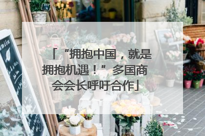 “拥抱中国，就是拥抱机遇！”多国商会会长呼吁合作
