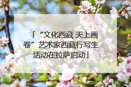 “文化西藏 天上画卷”艺术家西藏行写生活动在拉萨启动