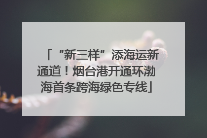 “新三样”添海运新通道！烟台港开通环渤海首条跨海绿色专线