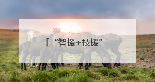 “智援+技援” 深圳援桂专家助力壮乡中医焕新颜