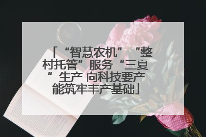 “智慧农机”“整村托管”服务“三夏”生产 向科技要产能筑牢丰产基础