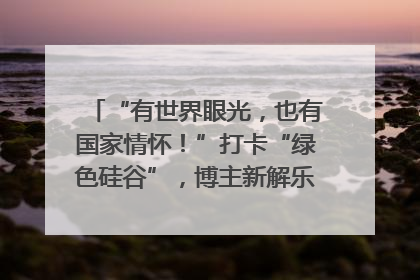“有世界眼光，也有国家情怀！”打卡“绿色硅谷”，博主新解乐山｜网络名人四川行