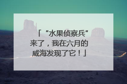 “水果侦察兵”来了，我在六月的威海发现了它！