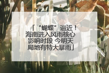“蝴蝶”逼近！海南进入风雨核心影响时段 今明天局地有特大暴雨