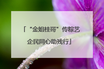 “金姐桂哥”传粽艺 企民同心助残行