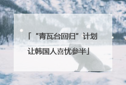“青瓦台回归”计划让韩国人喜忧参半