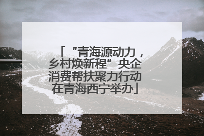“青海源动力，乡村焕新程”央企消费帮扶聚力行动在青海西宁举办