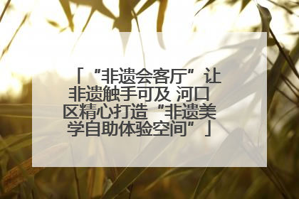 “非遗会客厅”让非遗触手可及 河口区精心打造“非遗美学自助体验空间”