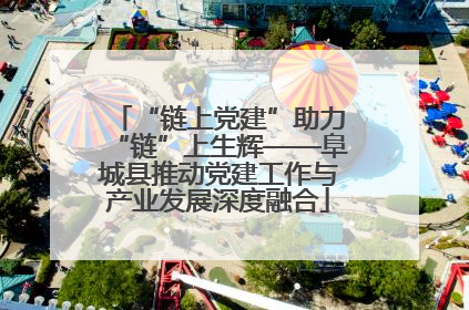 “链上党建”助力“链”上生辉——阜城县推动党建工作与产业发展深度融合