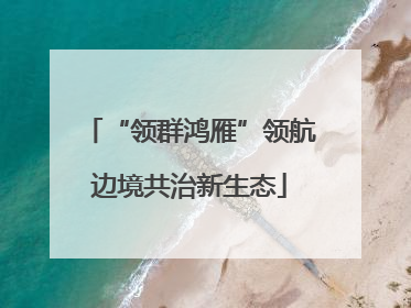 “领群鸿雁”领航边境共治新生态