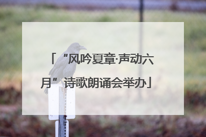 “风吟夏章·声动六月”诗歌朗诵会举办