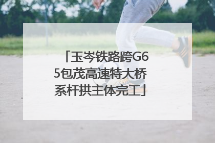 玉岑铁路跨G65包茂高速特大桥系杆拱主体完工