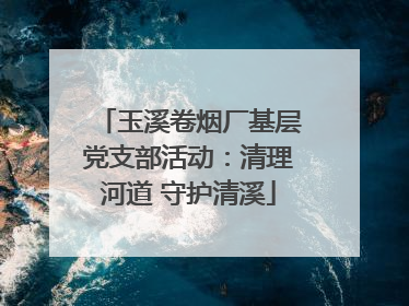 玉溪卷烟厂基层党支部活动：清理河道 守护清溪