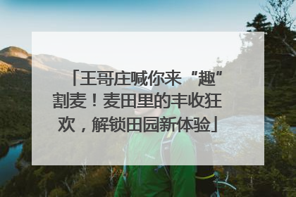 王哥庄喊你来“趣”割麦！麦田里的丰收狂欢，解锁田园新体验