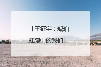 王征宇：琥珀虹膜中的我们