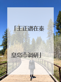 王正谱在秦皇岛市调研