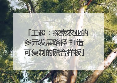 王超：探索农业的多元发展路径 打造可复制的融合样板