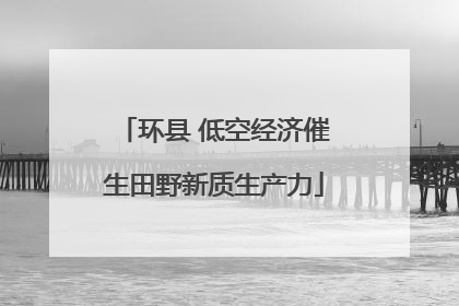 环县 低空经济催生田野新质生产力