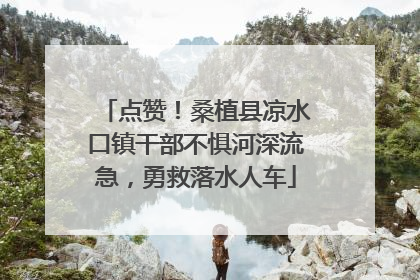 点赞！桑植县凉水口镇干部不惧河深流急，勇救落水人车